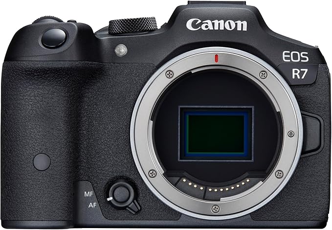 CANON EOS R7 Cámara EVIL APS-C (32,5 MP), Vídeo 4K 60 fps, Pantalla Táctil, Negro